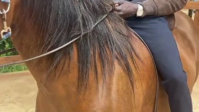 Khabane lame Bro I’m sorry but My horse is better than yours
