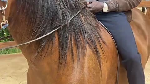 Khabane lame Bro I’m sorry but My horse is better than yours