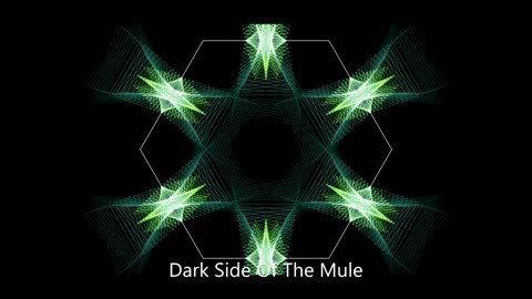 Dark Side Of The Mule