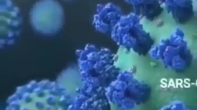 whistleblower covid shot white blood cells , immune system