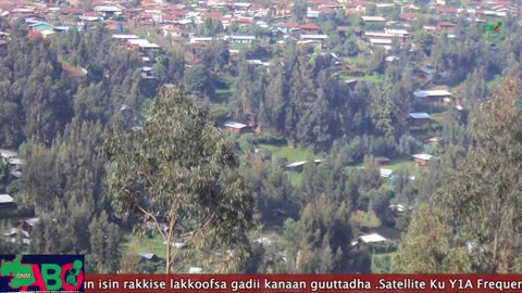 Oduu Waaree ONM-ABO Onkoloolessa 31-2024 itti dhiyaadhaa!