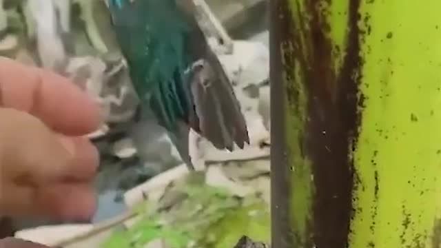 Unexpected funny video featured fifteenth play # funny watch it again