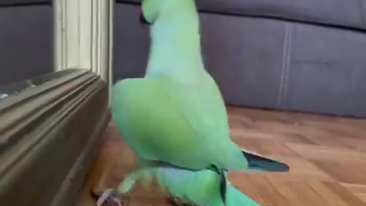 This guy is definitely going on a date! 🤣