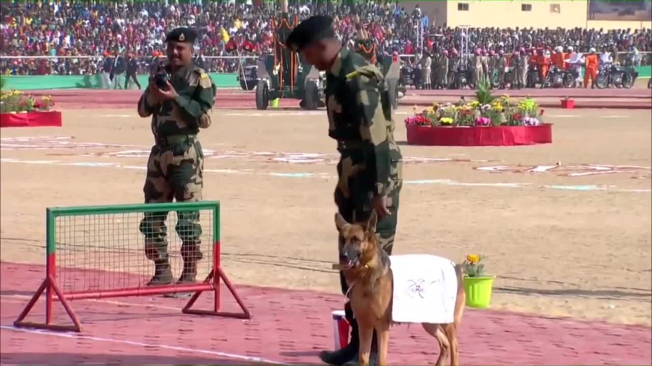 BSF Dog Welcomes Amit Shah With Flowers, Seeks Blessings