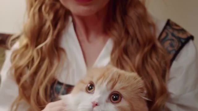 Cat 🐈 woman 👩 kitten 🐱 kitty pet love 💕 animals