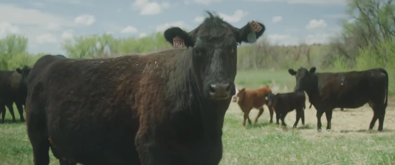 The Importance of Agriculture in Colorado