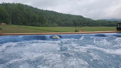 beautiful relaxing summer morning