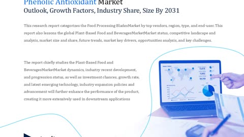 Phenolic Antioxidant Market