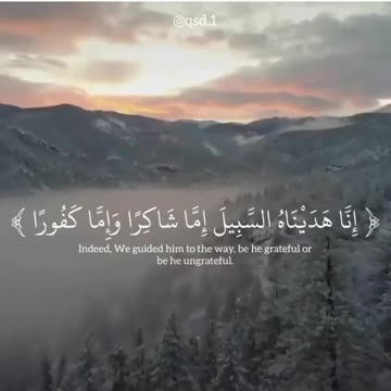 Quran | Al-insan aya 3