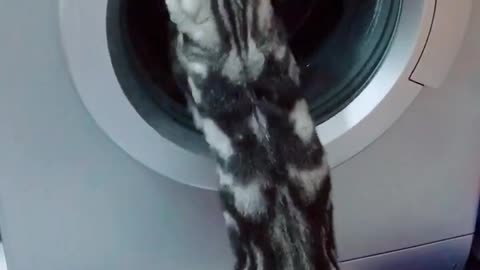 Open the washing machine and let me see