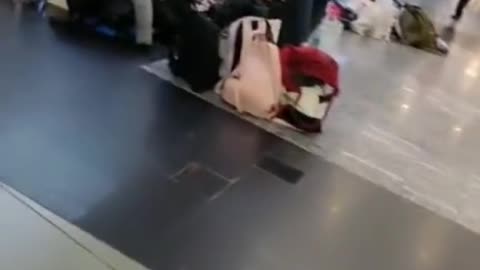 Hoy Miercoles 3 de agosto se termino la mentira.