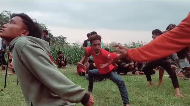 Funny videos