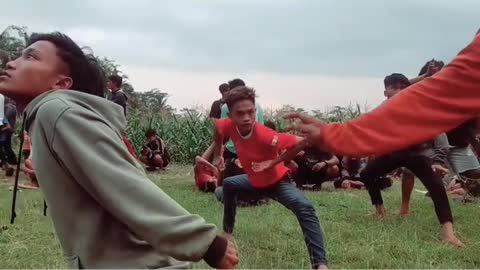 Funny videos