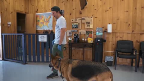ANXIOUS GERMAN SHEPHERD'S FIRST TRAINING SESSION! (ANXIOUS DOG NO MORE!)