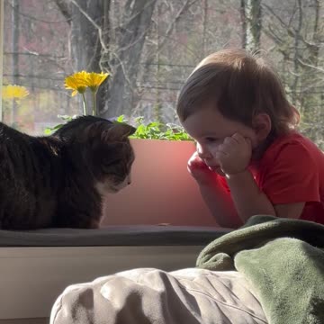 Sharing with the cat.