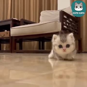 Aww I wish I had one like that