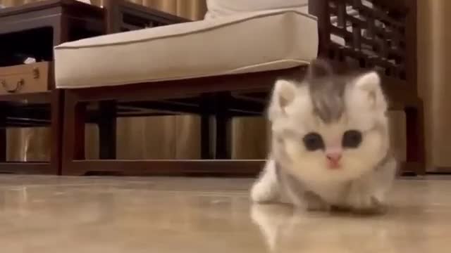 Aww I wish I had one like that