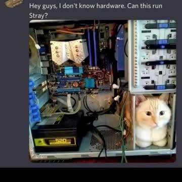 Hilarious memes #shorts