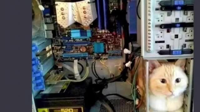 Hilarious memes #shorts