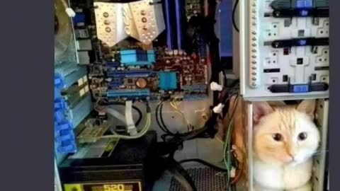 Hilarious memes #shorts