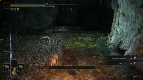 Elden Ring - Runebear NG+4