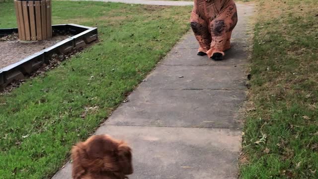 Hunter meets a dinosaur