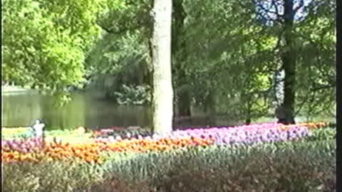 Keukenhof2 Park1999