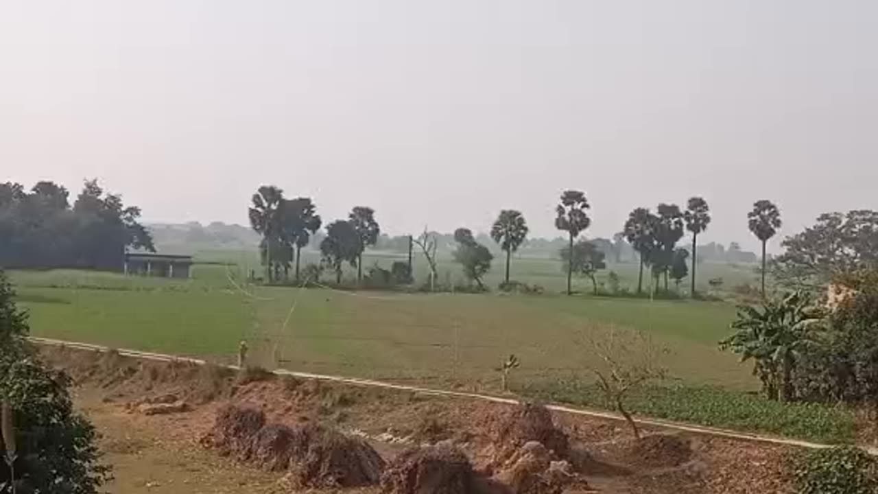 India - Country side view from train