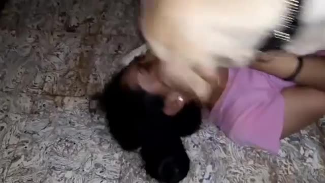 Dog kessing girls Very funny