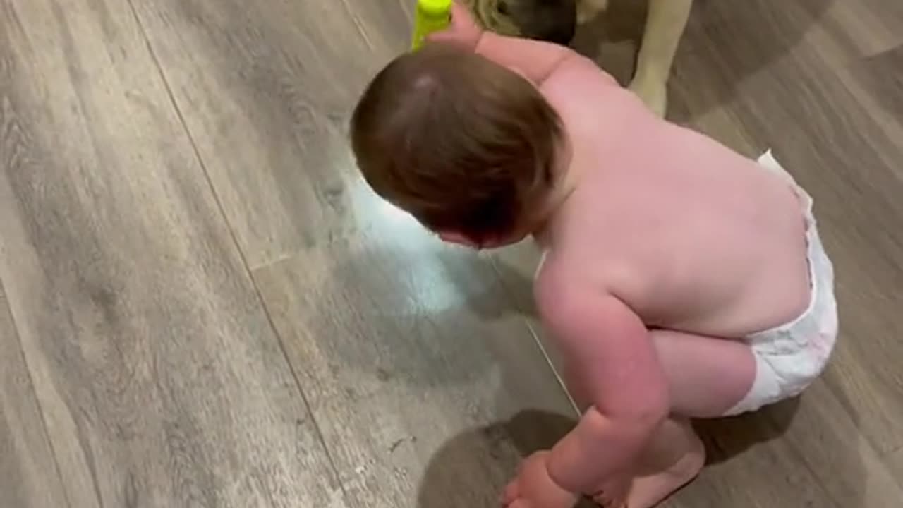 Adorable Baby and Dog Chase Light Beam: Pure Joy Unleashed!