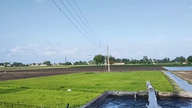 DESI SWIMMING POOL 🤣 IN FIELDS...