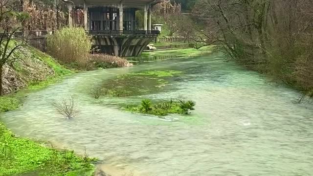 Nature river video so beautiful