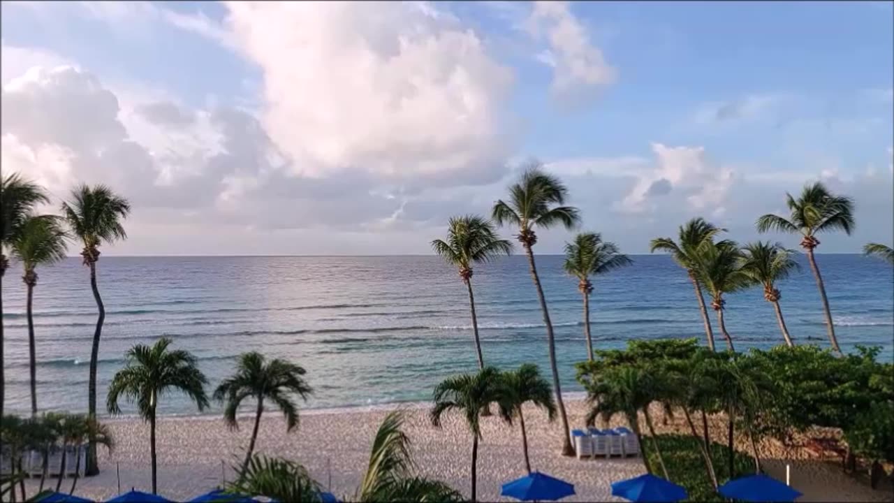 Our First Trip to Barbados, Coconut Court Hotel