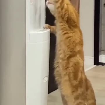 Thirst does not wait for anyone