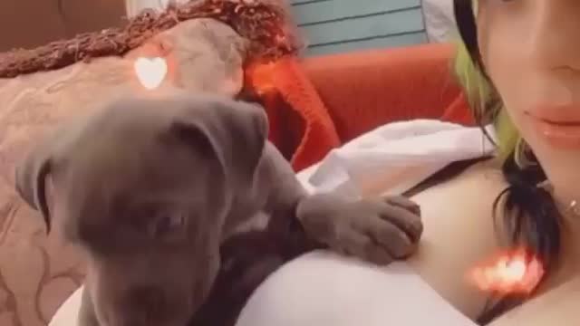 BILLIE EILISH & HER PUPPY | Lucky Puppy