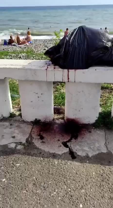 На набережной Сухуми лежит мёртвый дельфин завёрнутый в пакете
