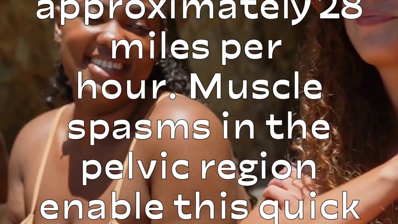 Muscle sperms in pelvic region enable quick erection⚓🕯 | Contraction varies based on personal sex