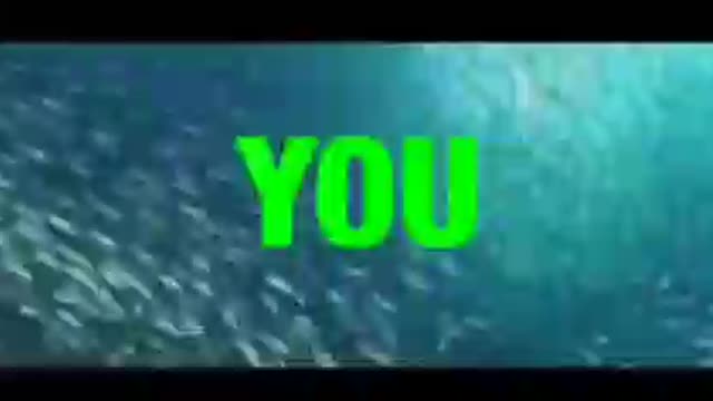 "FUCK YOU ALL" ....a message to the world "Leaders"