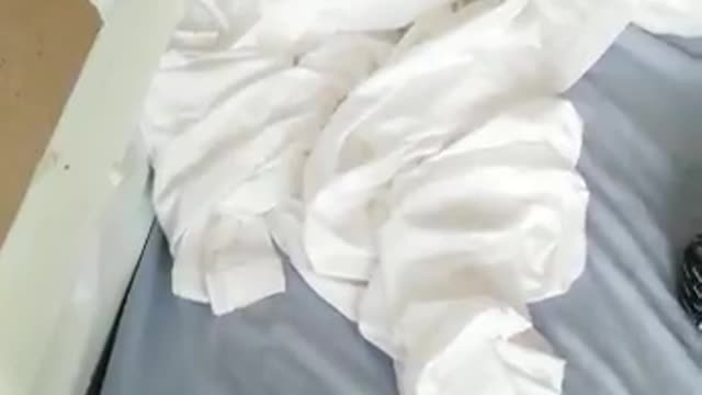 This is sickening, trying to do Coronavirus tests on newborn babies in the UK!