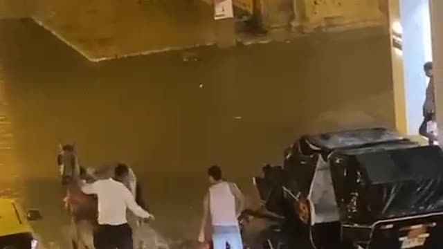 Caballos cocheros padecieron por las lluvias en Cartagena