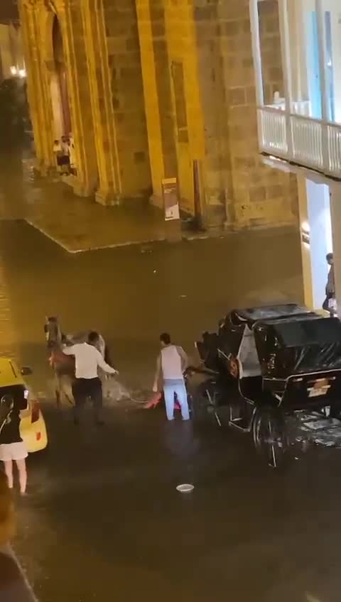 Caballos cocheros padecieron por las lluvias en Cartagena
