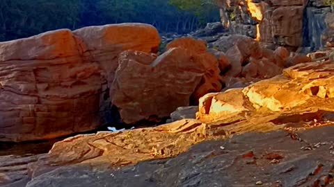Jannat🏞️💫