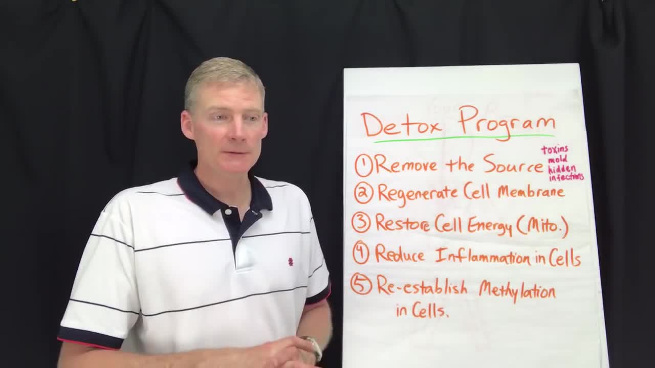 DETOX YOUR BRAIN of metals, chemicals, mold, etc. 145