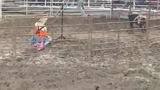 Teeter Totter Teases Rodeo Bull