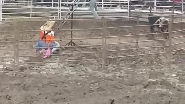 Teeter Totter Teases Rodeo Bull