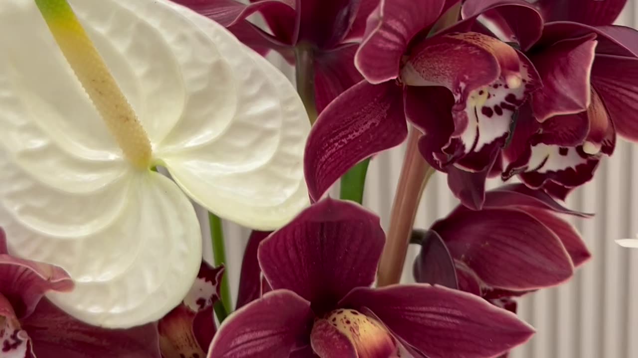 How to make simple arrangement