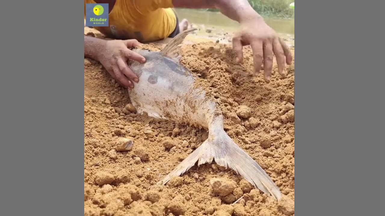 Amazing River Underground Big Fish Come Out Boy Meet & Catching Underground Stuck Fish By Hand