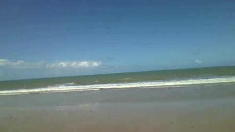 Beautiful beach on the coast of Brazil blessed by a great sun, paradise [Nature & Animals]