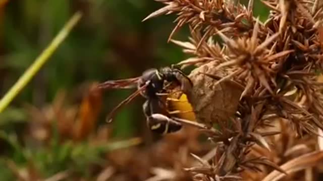 Time with God - June 14