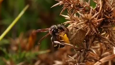 Time with God - June 14